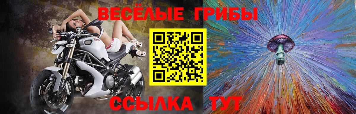 Галлюциногенные грибы прущие грибы Котлас